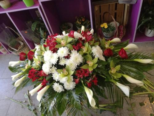 Ествени екибани