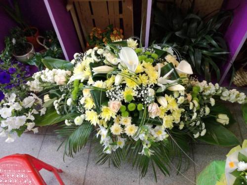 Ествени екибани